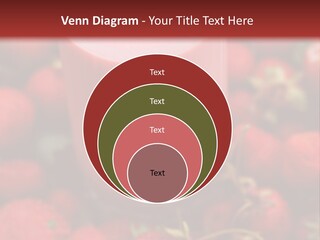 Berry Yogurt Milkshake PowerPoint Template