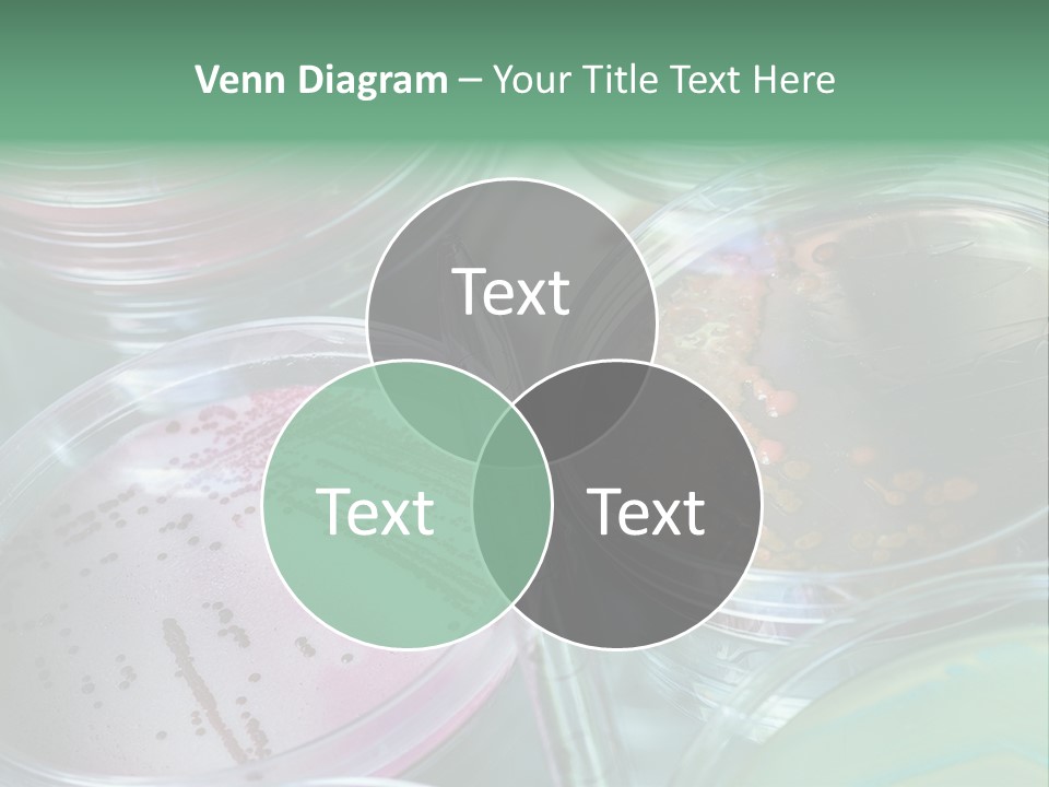 Liquid Labor Technology PowerPoint Template