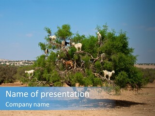 Leaves Sad Vegetation PowerPoint Template