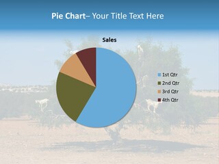 Leaves Sad Vegetation PowerPoint Template