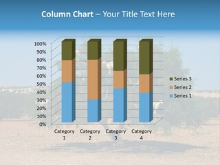 Leaves Sad Vegetation PowerPoint Template