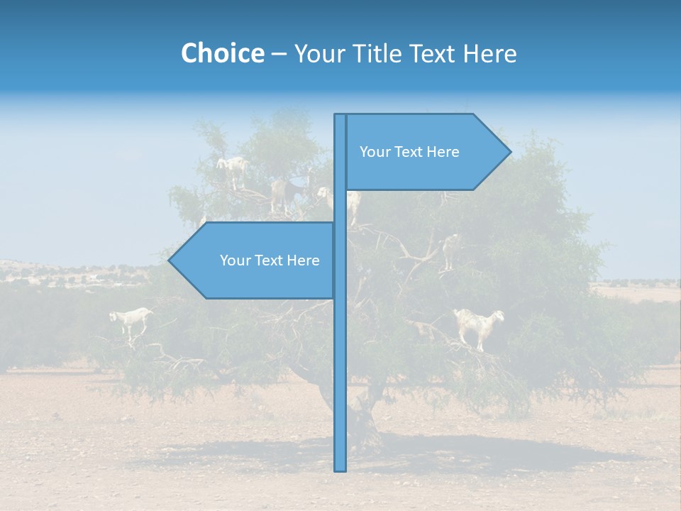 Leaves Sad Vegetation PowerPoint Template