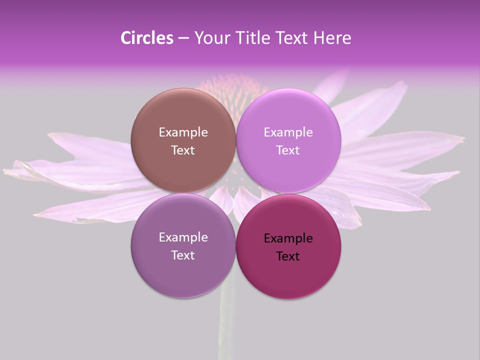 Flora Closeup Green PowerPoint Template