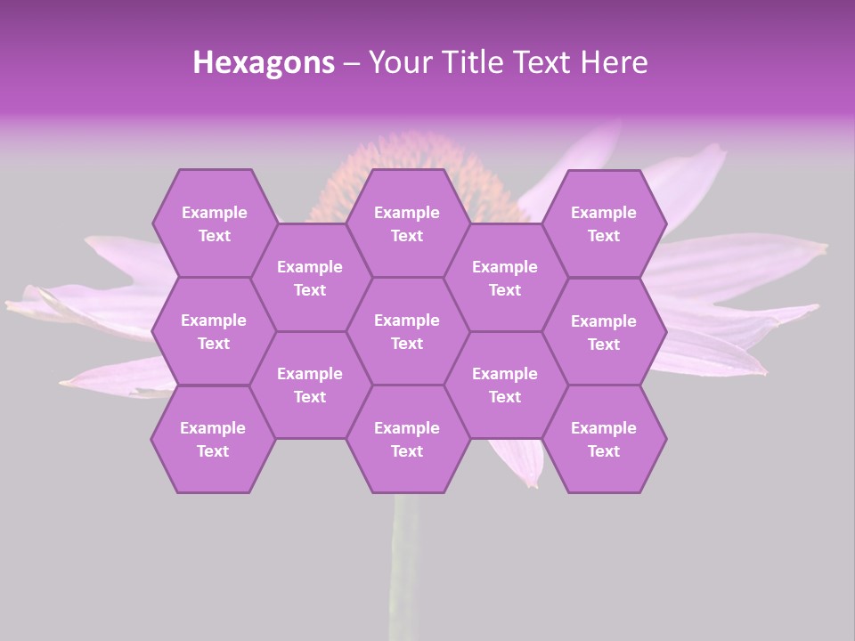 Flora Closeup Green PowerPoint Template