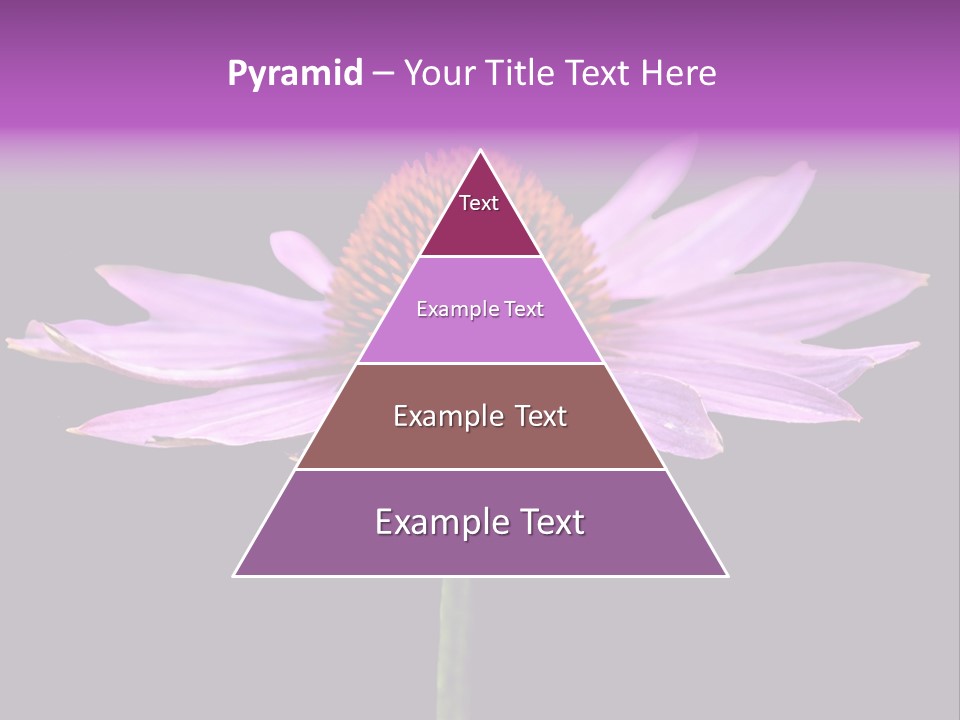 Flora Closeup Green PowerPoint Template