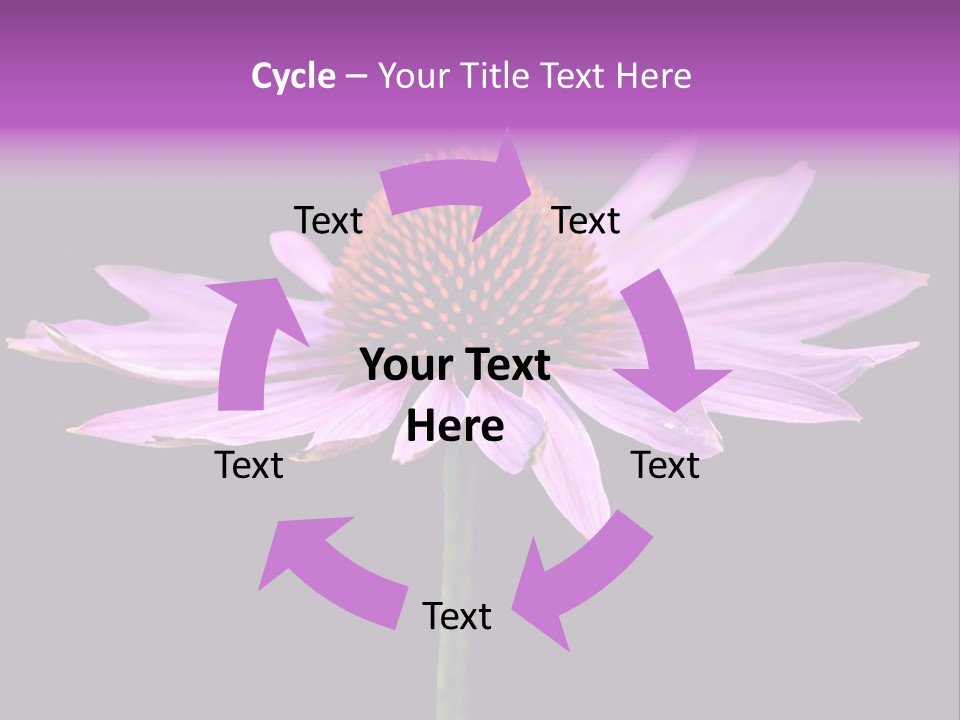 Flora Closeup Green PowerPoint Template