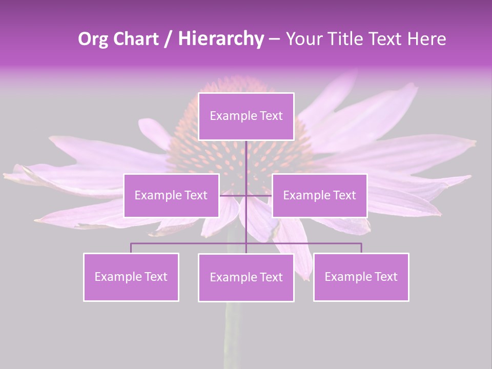 Flora Closeup Green PowerPoint Template