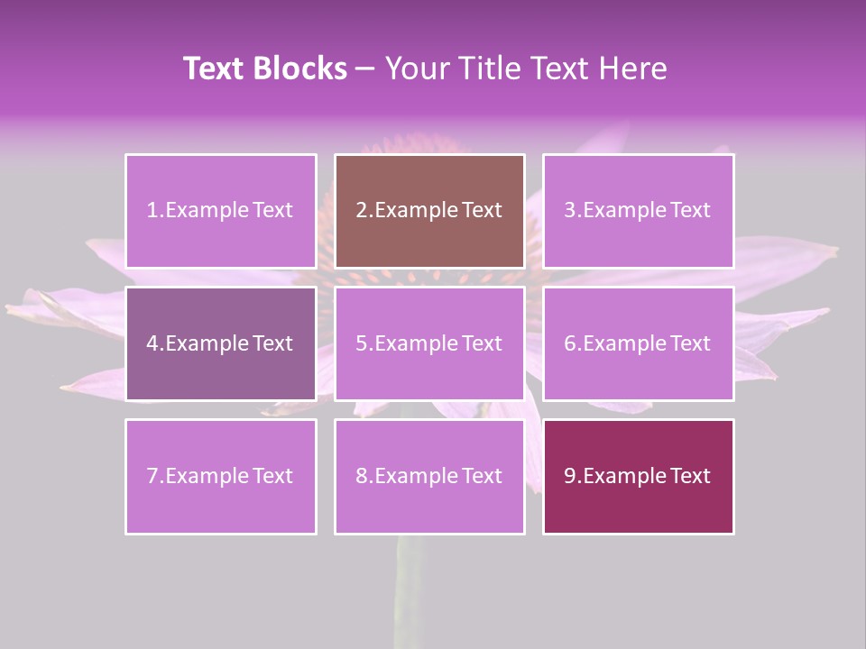 Flora Closeup Green PowerPoint Template