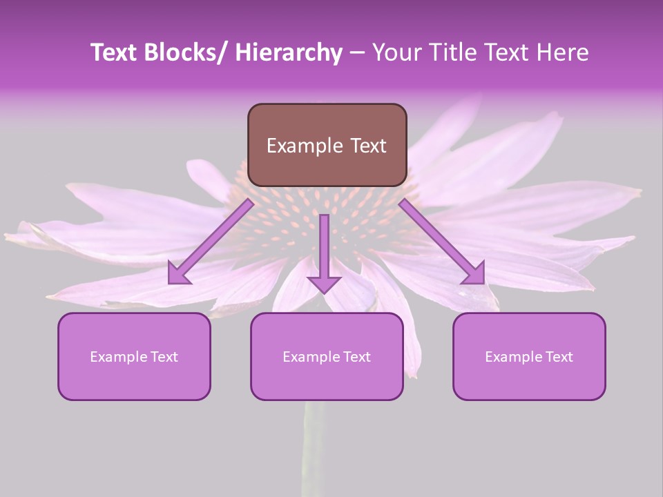 Flora Closeup Green PowerPoint Template