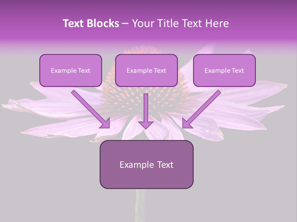 Flora Closeup Green PowerPoint Template