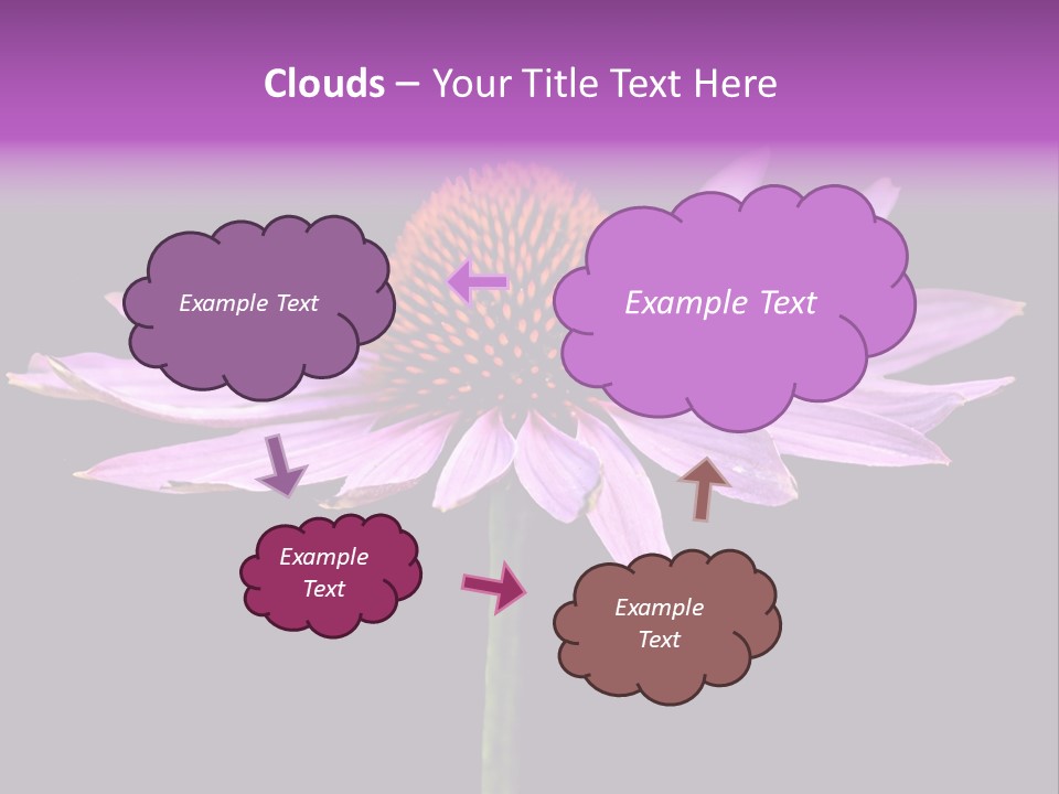 Flora Closeup Green PowerPoint Template