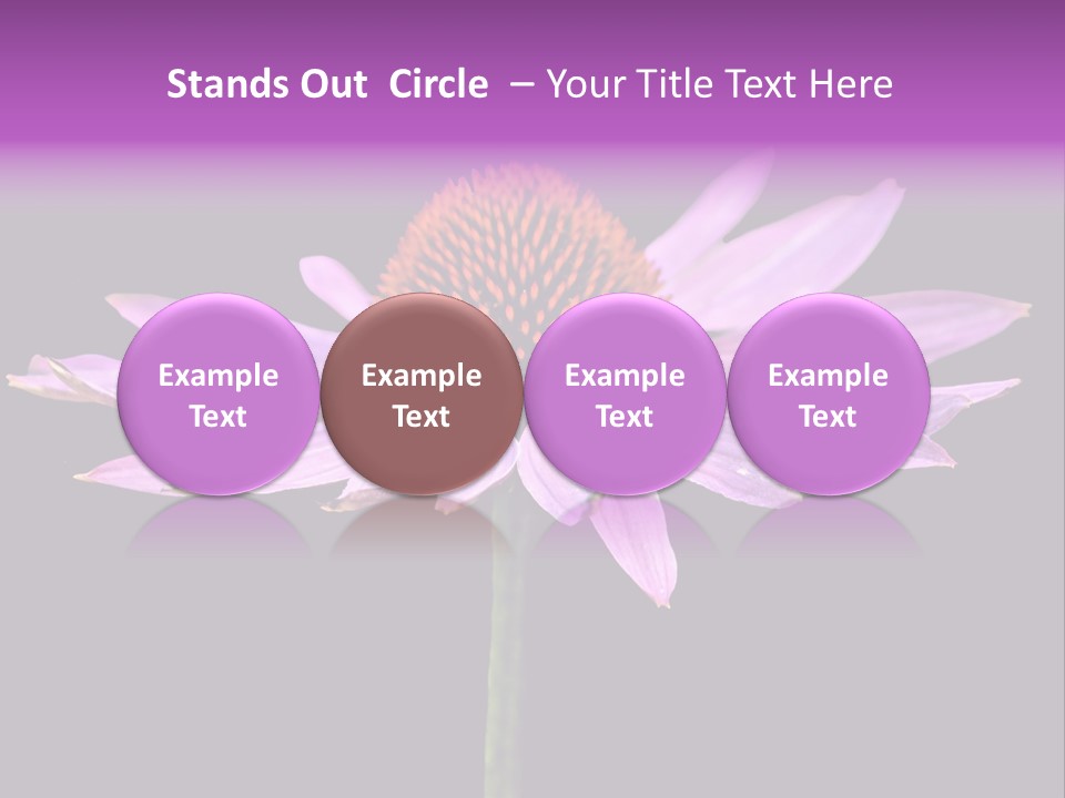 Flora Closeup Green PowerPoint Template