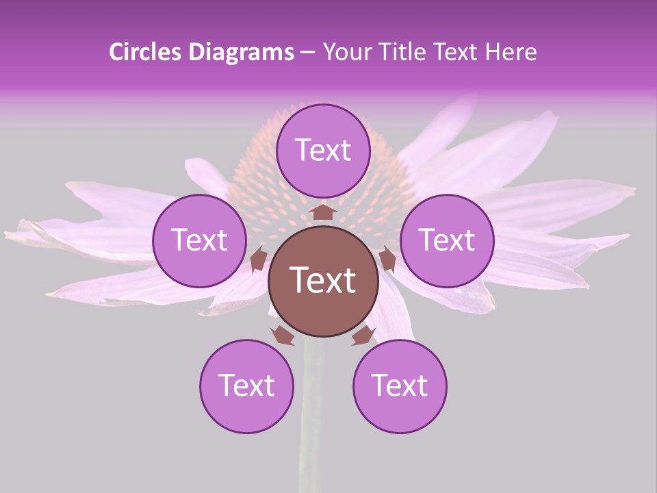 Flora Closeup Green PowerPoint Template