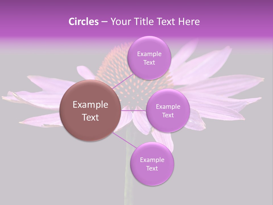 Flora Closeup Green PowerPoint Template