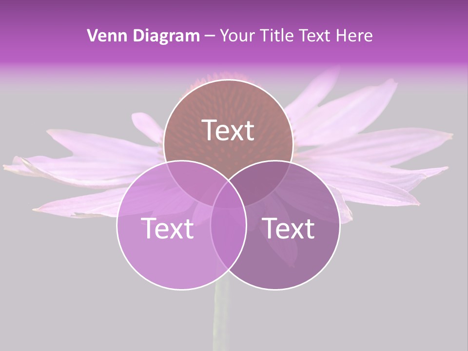 Flora Closeup Green PowerPoint Template