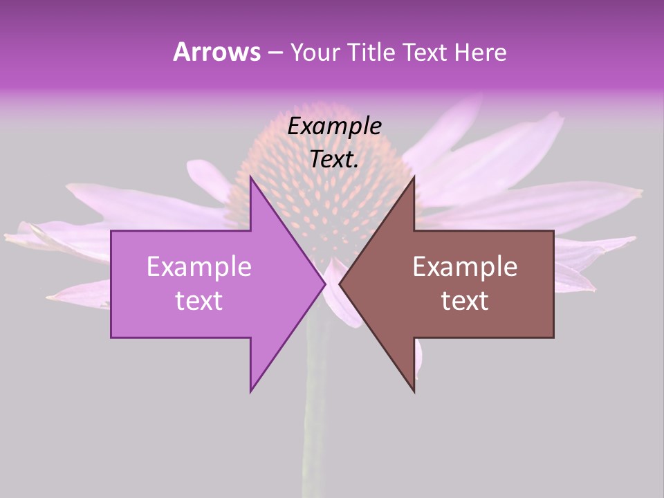 Flora Closeup Green PowerPoint Template