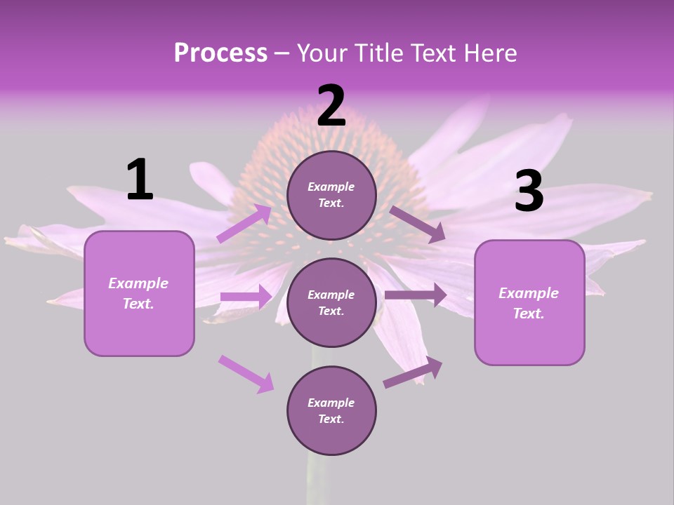 Flora Closeup Green PowerPoint Template