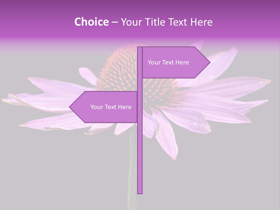 Flora Closeup Green PowerPoint Template