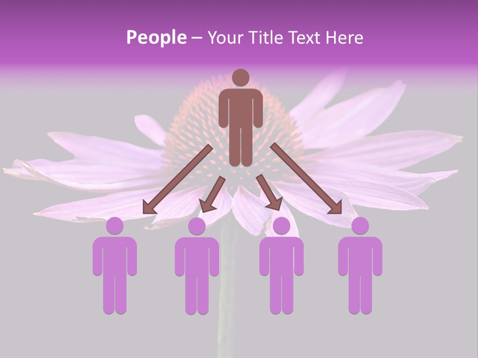 Flora Closeup Green PowerPoint Template