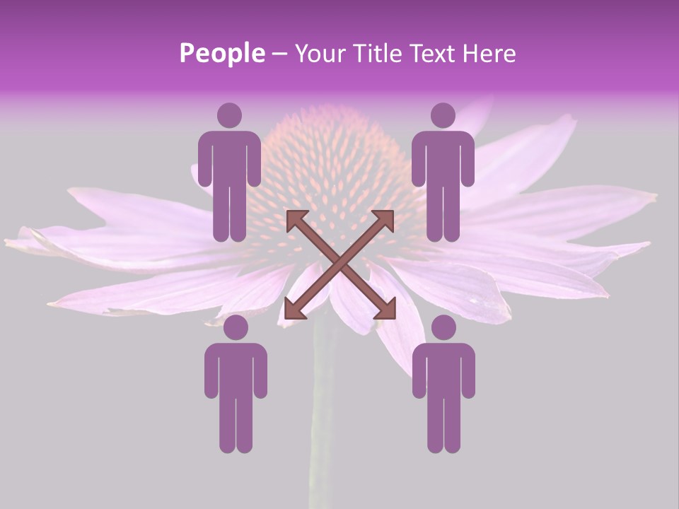 Flora Closeup Green PowerPoint Template