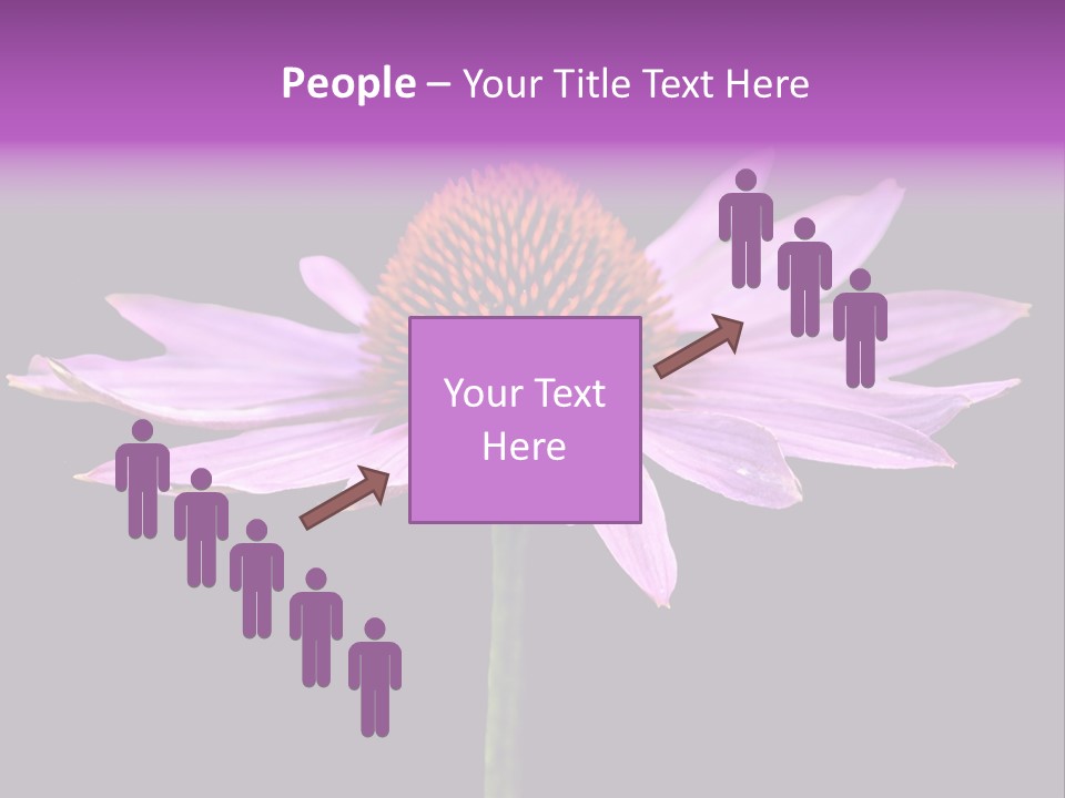 Flora Closeup Green PowerPoint Template