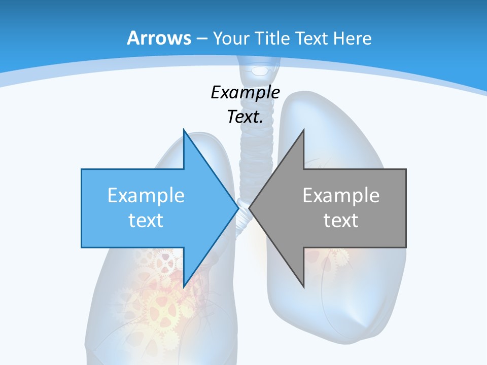 Pain Physiology Lung PowerPoint Template