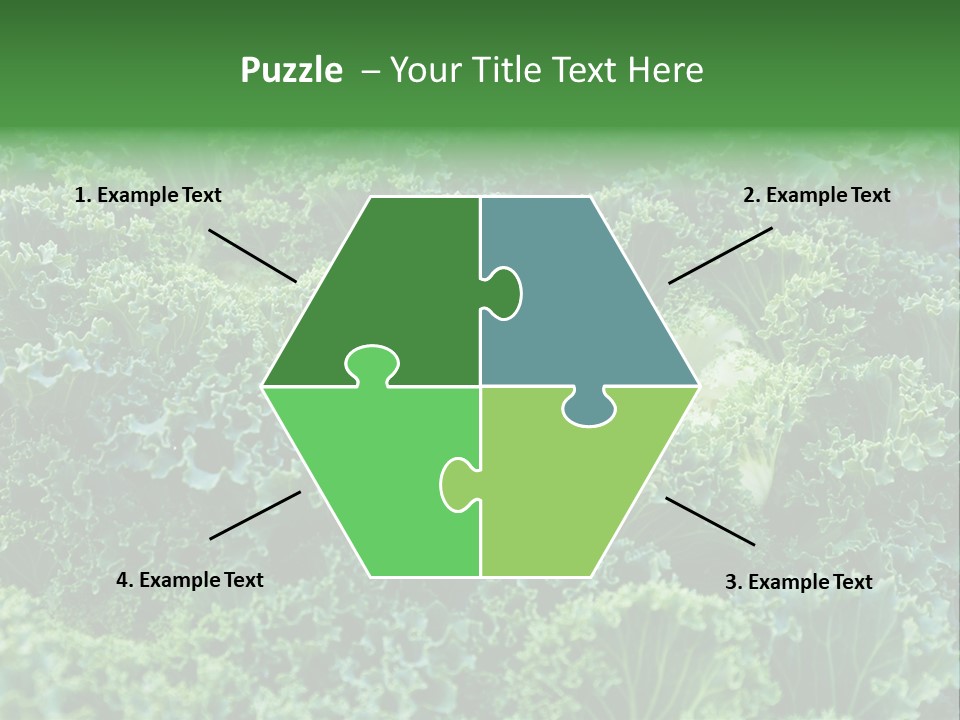 Organic Lettuce Close PowerPoint Template