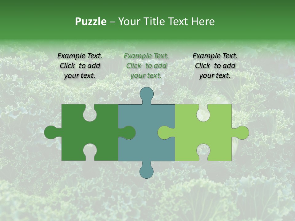 Organic Lettuce Close PowerPoint Template