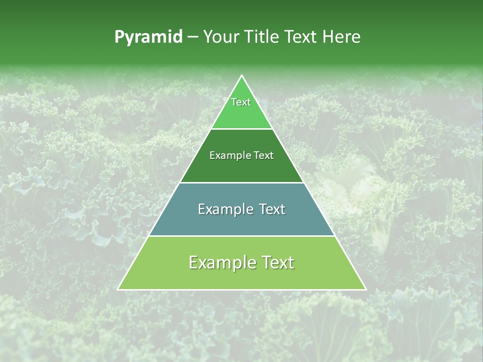 Organic Lettuce Close PowerPoint Template