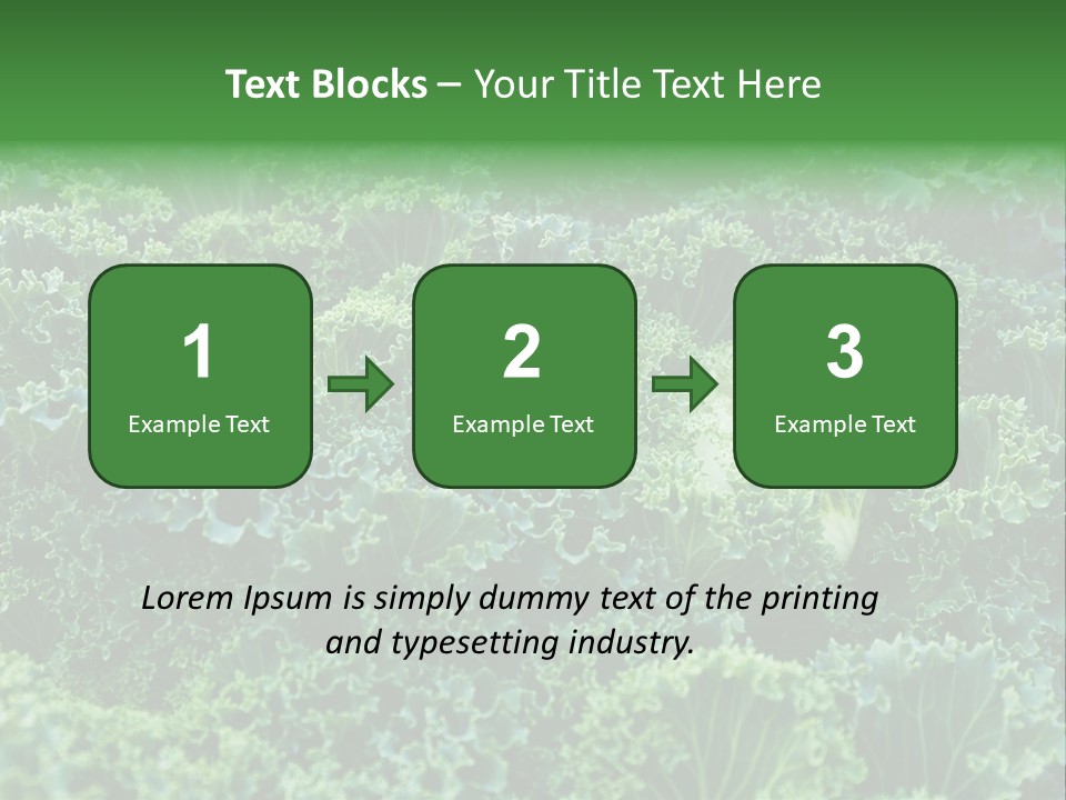 Organic Lettuce Close PowerPoint Template
