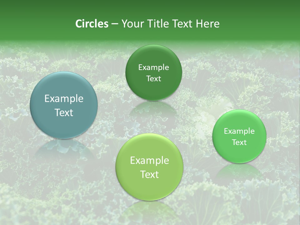 Organic Lettuce Close PowerPoint Template