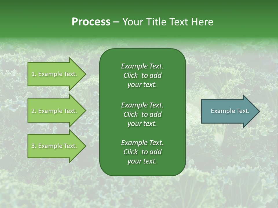 Organic Lettuce Close PowerPoint Template