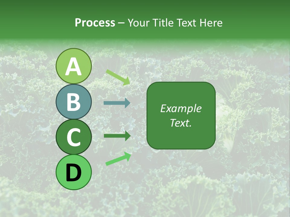 Organic Lettuce Close PowerPoint Template