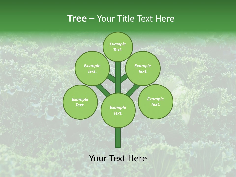 Organic Lettuce Close PowerPoint Template