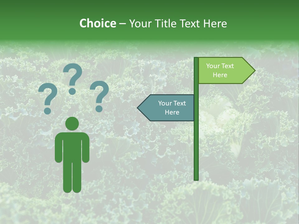 Organic Lettuce Close PowerPoint Template