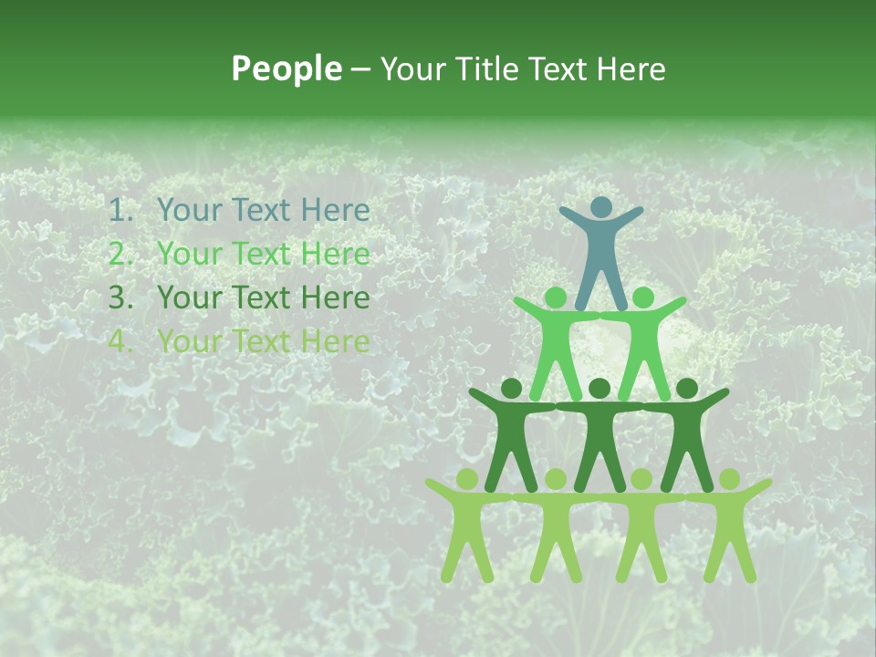 Organic Lettuce Close PowerPoint Template