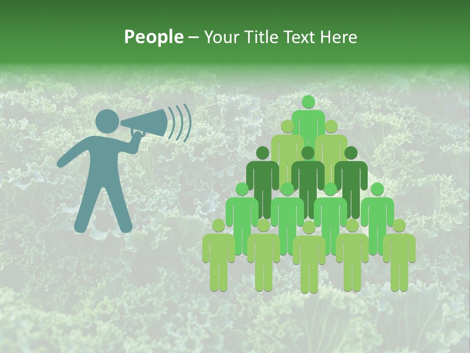 Organic Lettuce Close PowerPoint Template