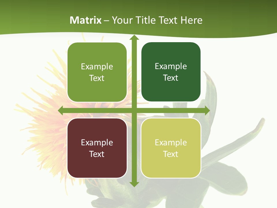 Tinctorius Orange Close PowerPoint Template