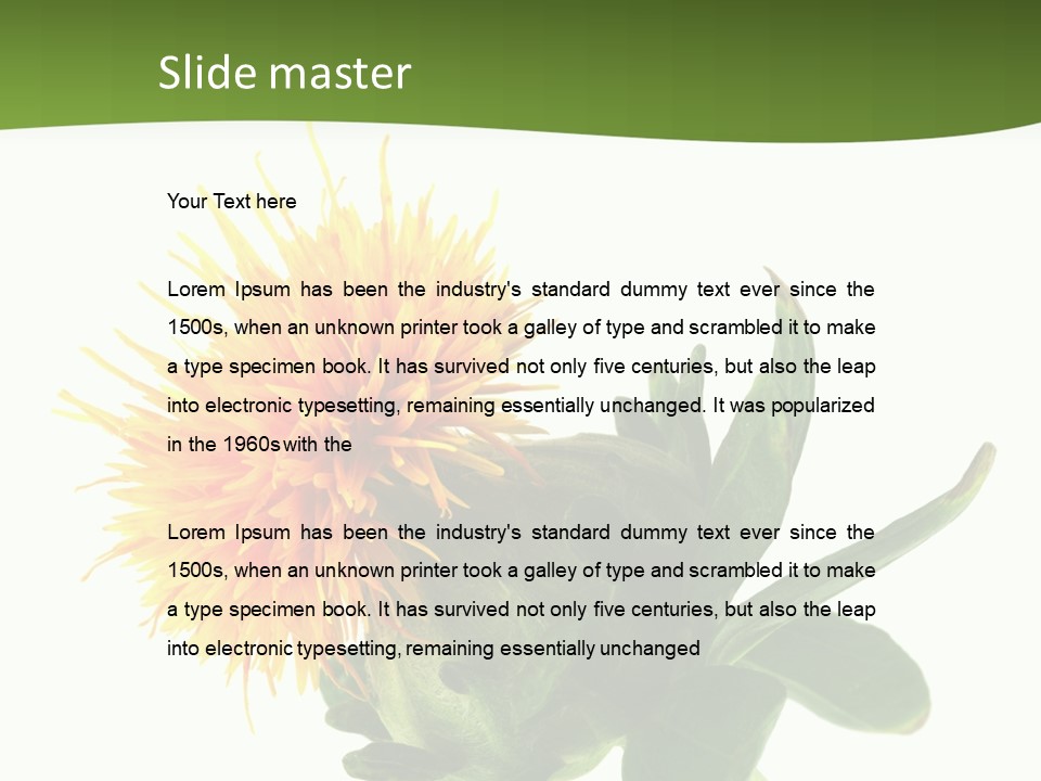 Tinctorius Orange Close PowerPoint Template