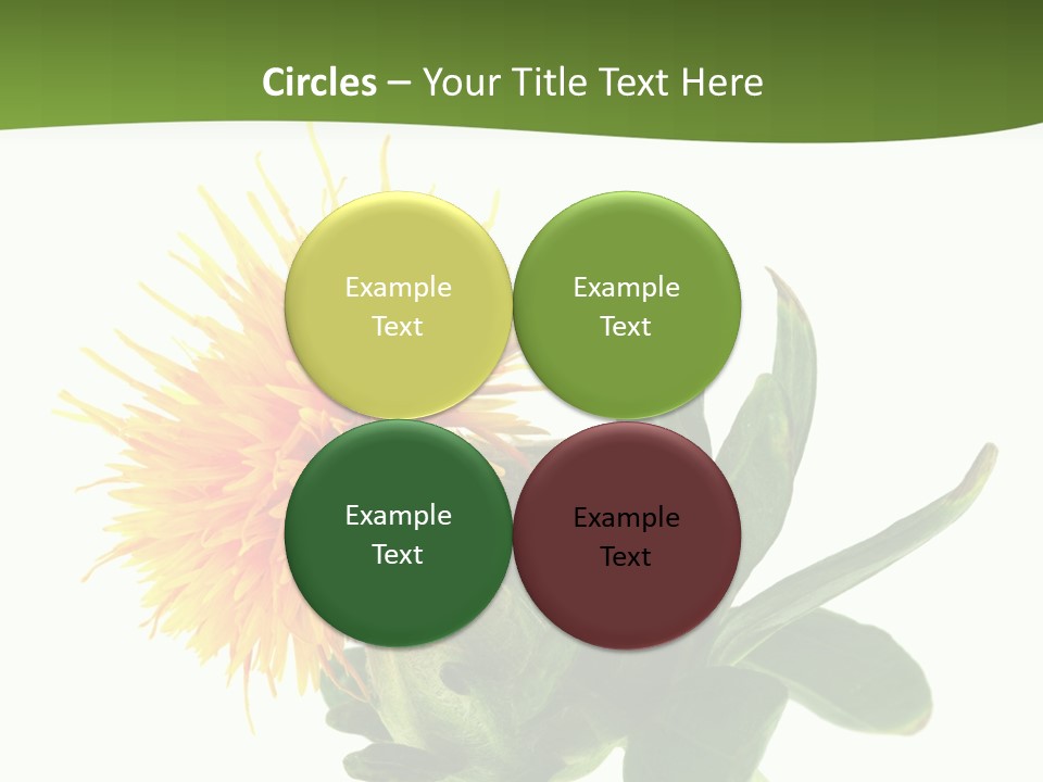 Tinctorius Orange Close PowerPoint Template