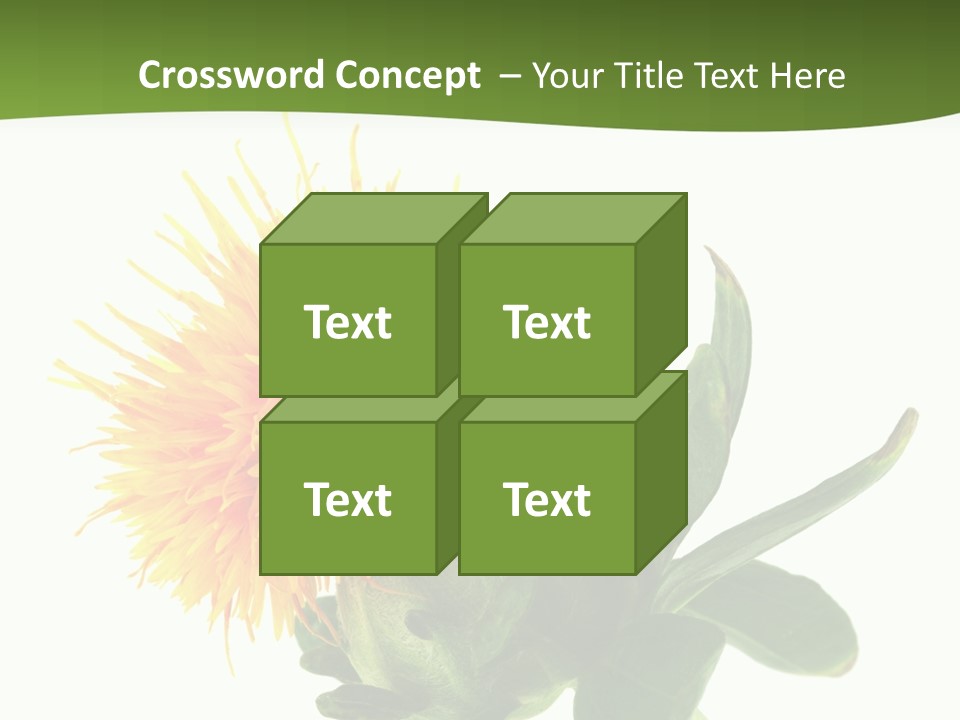 Tinctorius Orange Close PowerPoint Template