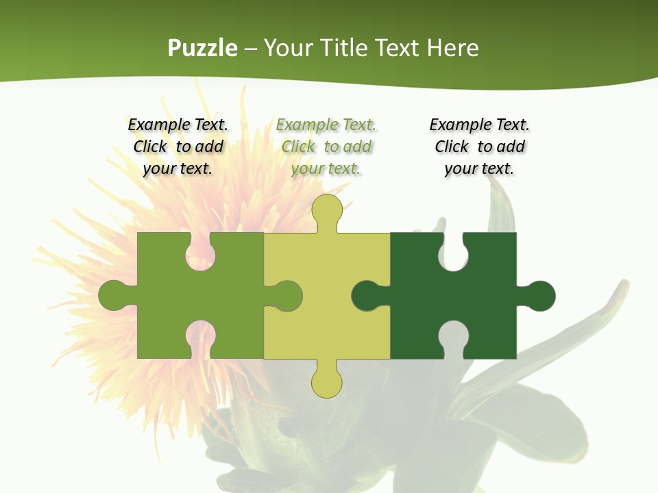 Tinctorius Orange Close PowerPoint Template