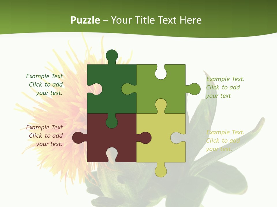 Tinctorius Orange Close PowerPoint Template