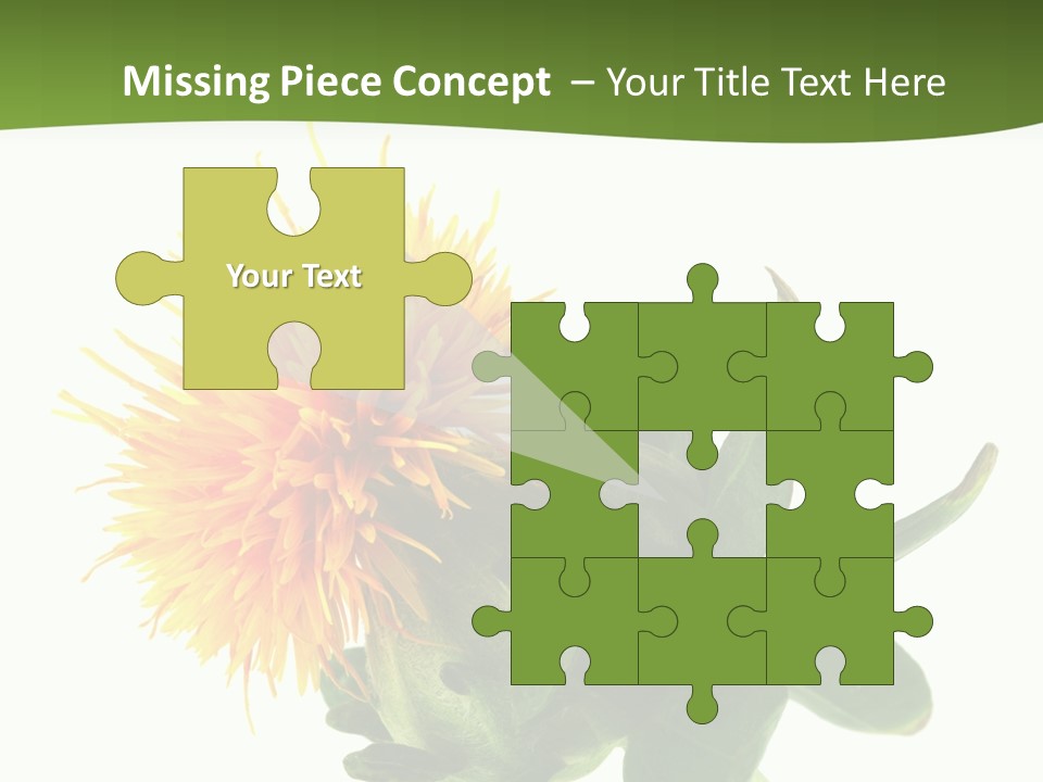 Tinctorius Orange Close PowerPoint Template