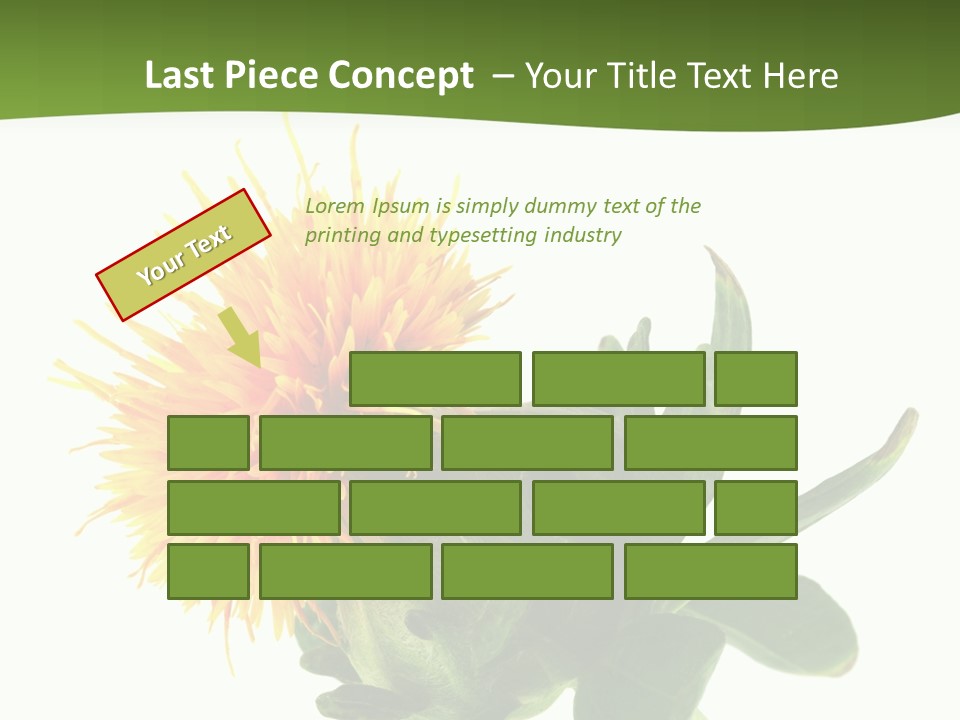 Tinctorius Orange Close PowerPoint Template