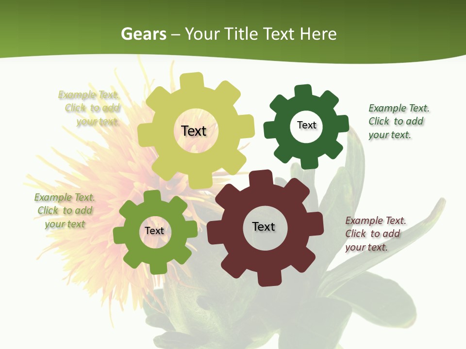 Tinctorius Orange Close PowerPoint Template