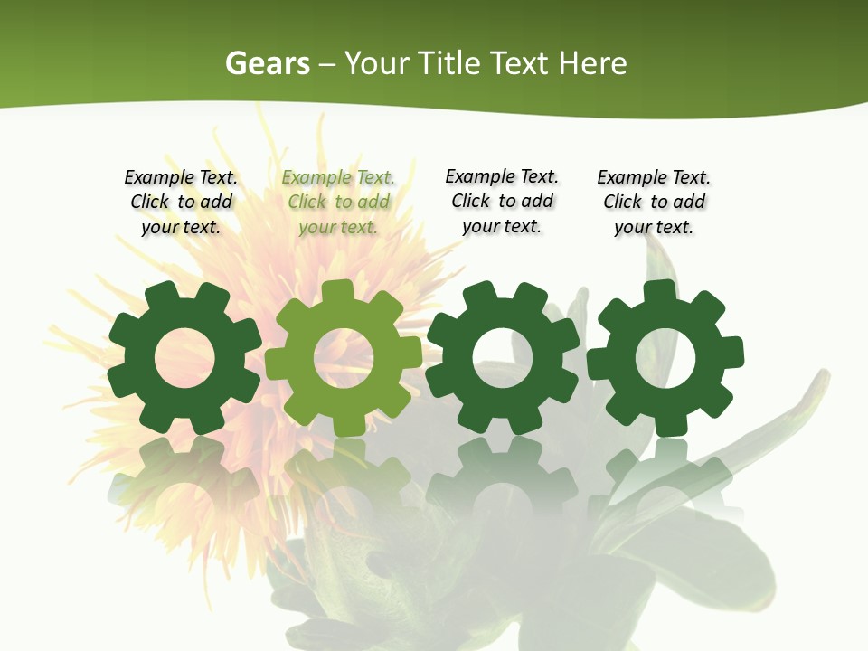 Tinctorius Orange Close PowerPoint Template