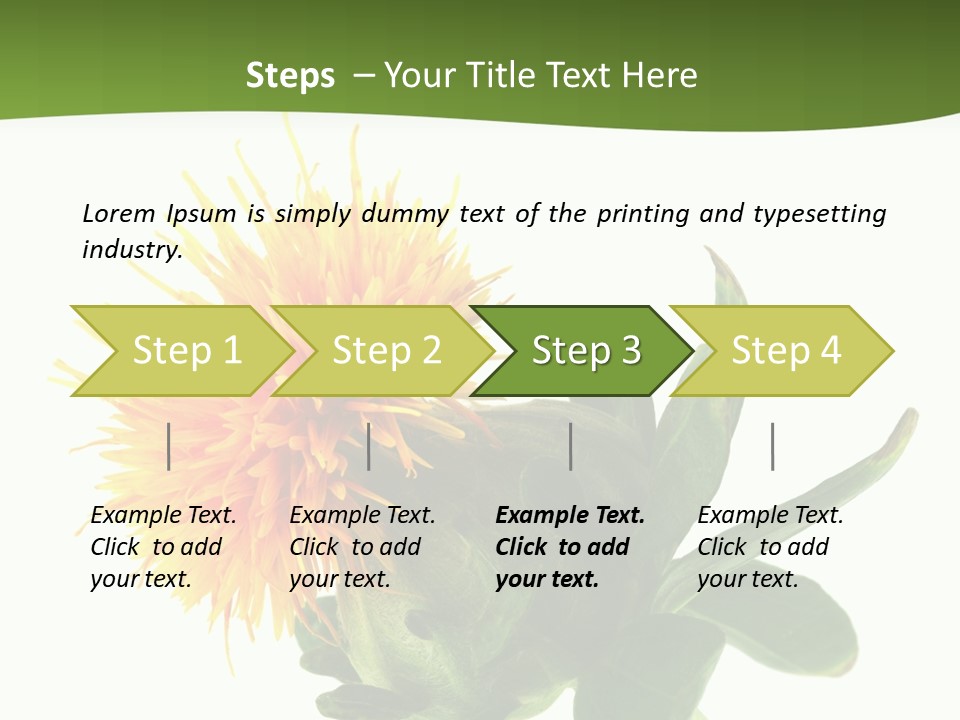 Tinctorius Orange Close PowerPoint Template