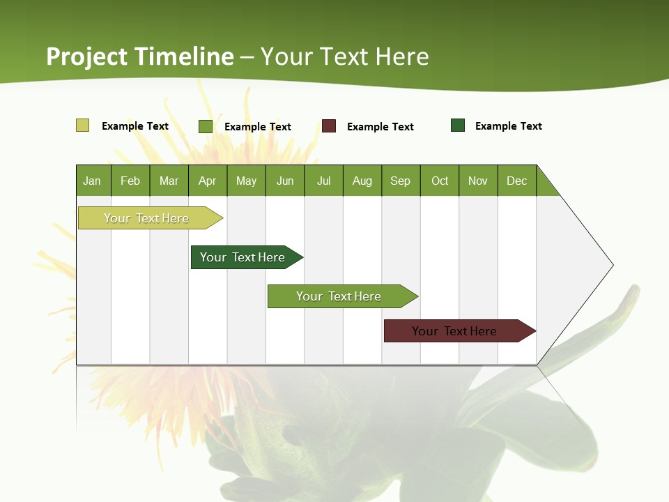Tinctorius Orange Close PowerPoint Template
