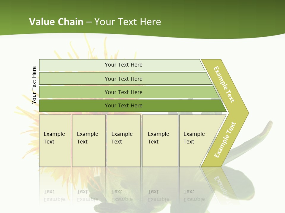 Tinctorius Orange Close PowerPoint Template